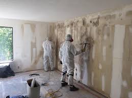 Best Attic Mold Removal  in Franklin, CA